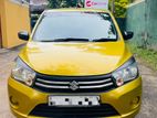 Suzuki Celerio Car Rent
