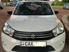 Suzuki Celerio Cars for Rent