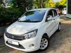 Suzuki Celerio Elegance Auto 2015