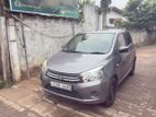 Suzuki Celerio for Rent