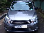 Suzuki Celerio for Rent