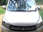 Suzuki Celerio For Rent