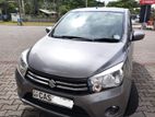 Suzuki Celerio For Rent