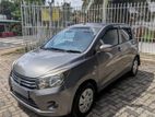 Suzuki Celerio - for Rent