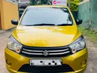Suzuki Celerio for Rent