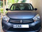 Suzuki Celerio for Rent