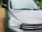 Suzuki Celerio for rent
