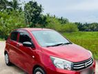 Suzuki Celerio for Rent