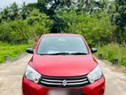 Suzuki Celerio for Rent - Short Term