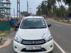 Suzuki Celerio Trim 2015