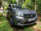 Suzuki Celerio VXi 2016
