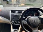 Suzuki Celerio ZXI 2015