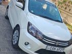 Suzuki Celerio ZXI 2016