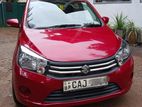 Suzuki Celerio ZXI Manual 2015