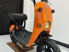 Suzuki Choi Nori 2018