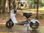 Suzuki Choi Nori 2022