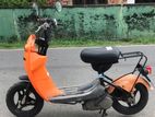 Suzuki Choi Nori 2025