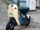 Suzuki Chori Nori 2022