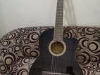 Suzuki Classical Guitar