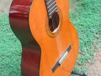 Suzuki Classical Guitar