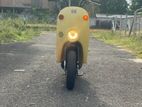 Suzuki Choi Nori 2022