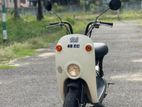 Suzuki Choi Nori 2023