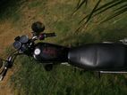 Suzuki GN 125 2001