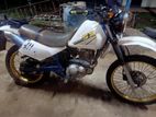 Suzuki GN 125 Special Edition 1998