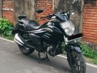 Suzuki Intruder 2019