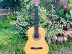 Suzuki Japanese Classical Box Guitar