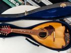 SUZUKI Mandolin-Japan