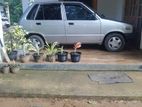 Suzuki Maruti 800cc 1996