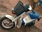 Suzuki Mollet 48cc 2000