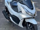 Honda PCX 125 2024