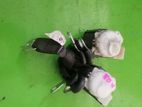 Suzuki swift ZC71 Rear Seat Belt Set