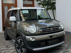 Suzuki XBee MZ Brown Accent Pack 2024