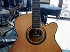 Swift Horse Acoustic Guitar