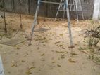 Swing