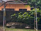 Garden Swing Chair