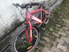 Mountain Bicycle