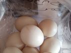 Duck Eggs
