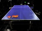 Table Tennis 25mm