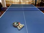 Table Tennis