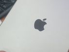 Apple iPad