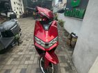 Tailg Leppord 2026