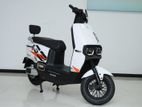 Tailg Red Rabbit 2026
