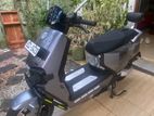 TAILG55 2026