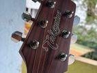 takamine D series Guitar with bag