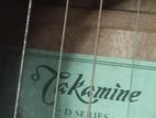 takamine d series japan