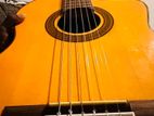 Takamine Electric Classical Guitar-EG 128SC